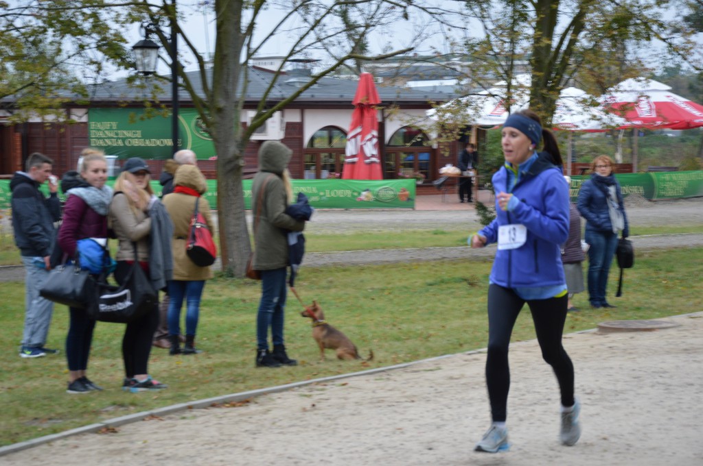 Grand Prix 2016 - finał