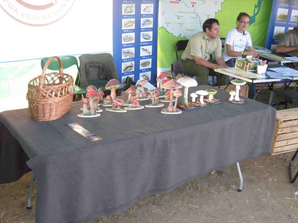 Tłumy na Festiwalu Wisły w Ciechocinku