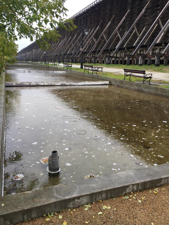 Rewitalizacja ciechocińskich parków