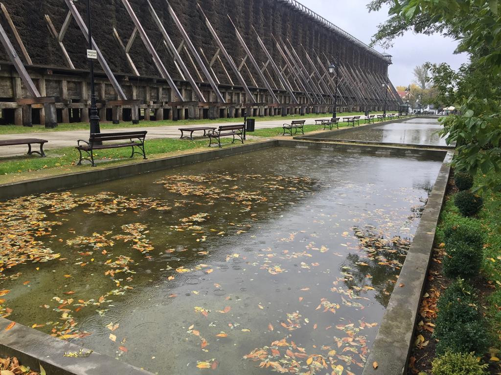 Rewitalizacja ciechocińskich parków