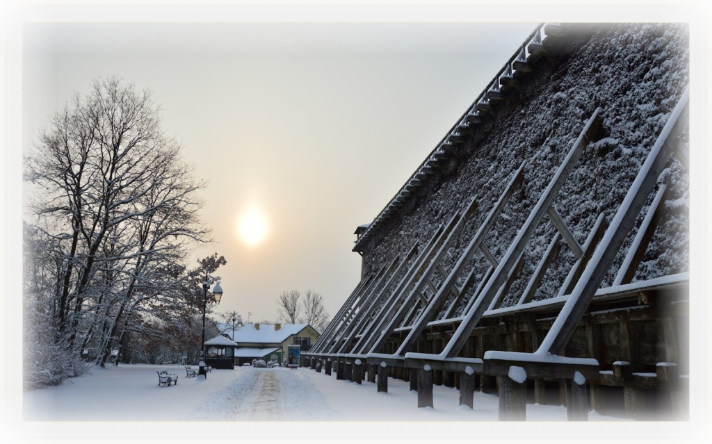 Tężnie 2018 - wspominamy pomnik historii