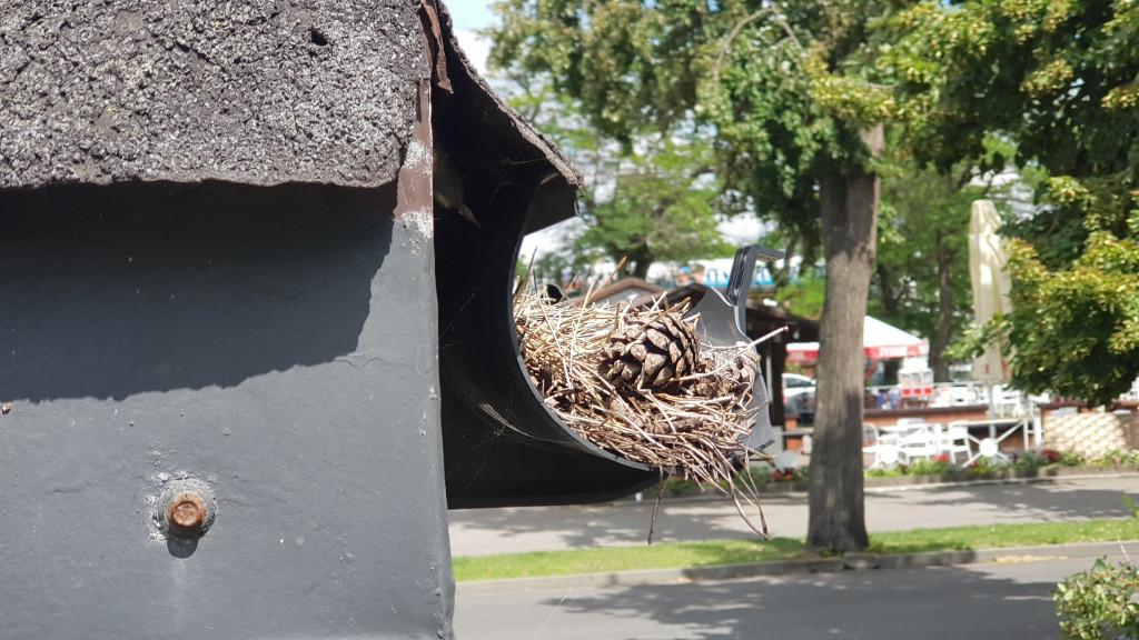 Budynek po kiosku RUCH przy Grzybku