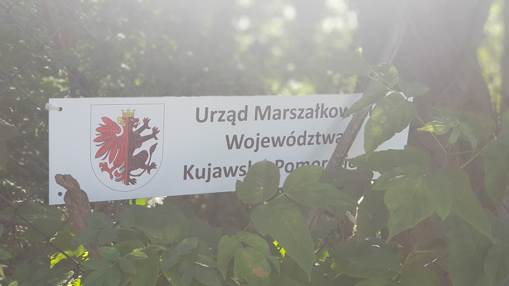 Odbudowa basenu cz. 1 Zabezpieczenie terenu