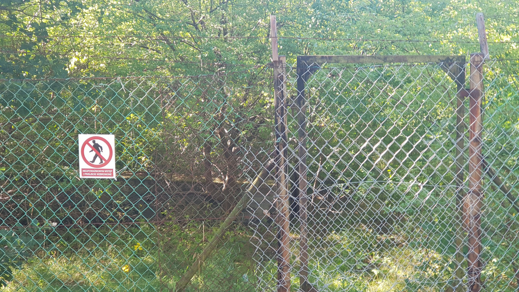 Odbudowa basenu cz. 1 Zabezpieczenie terenu