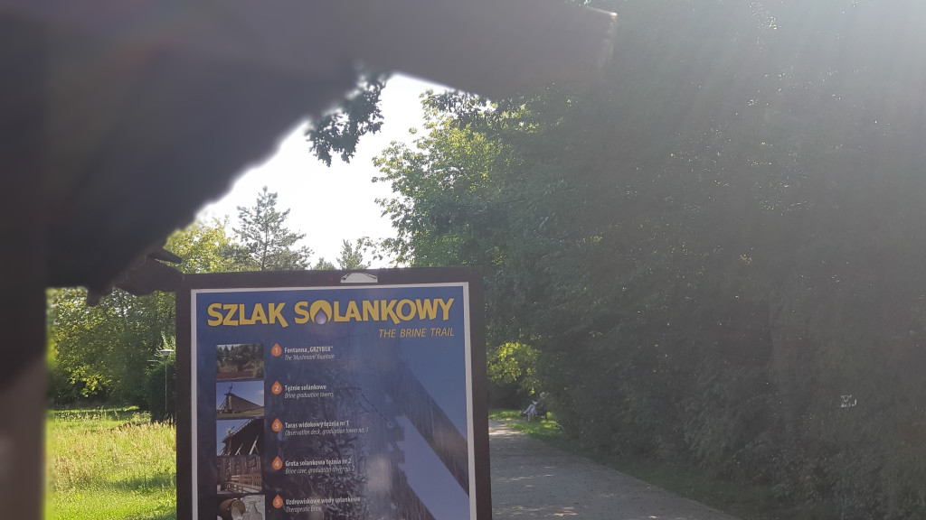 Odbudowa basenu cz. 1 Zabezpieczenie terenu