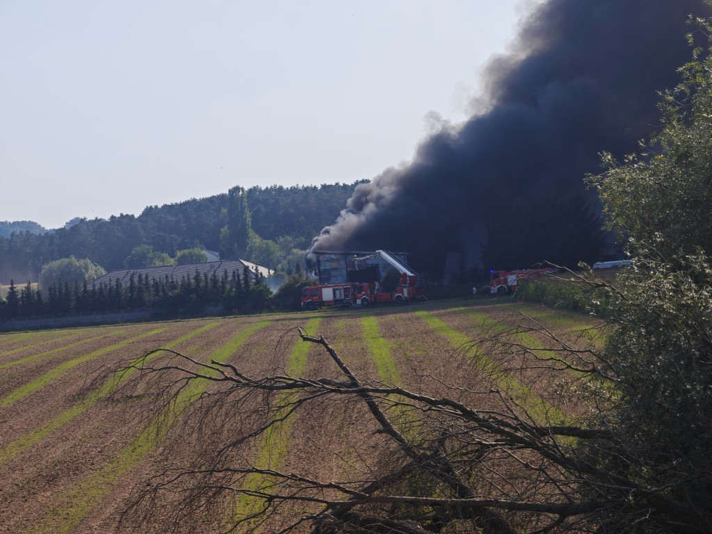 Pożar w Siarzewie pod Ciechocinkiem