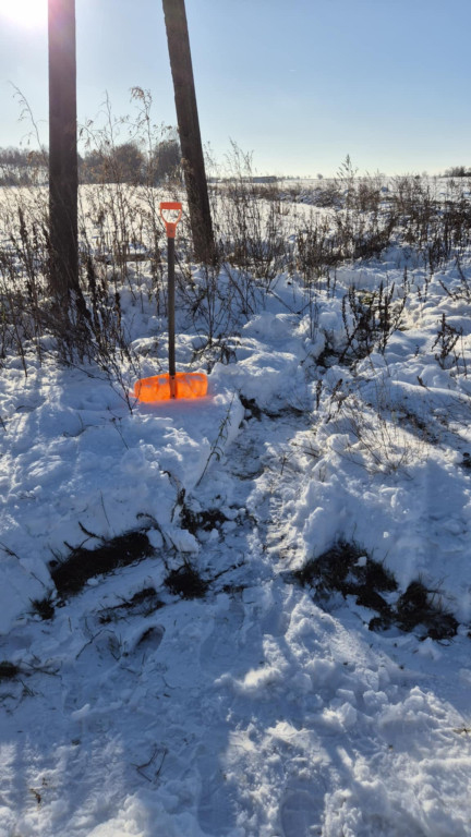 Zimujący Bocian w okolicach Ciechocinka