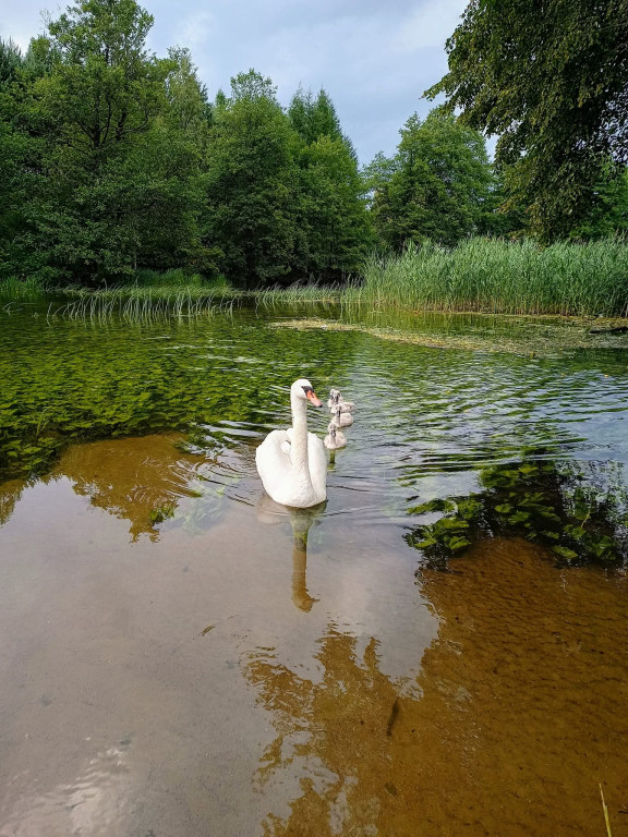 Pamiątka ze spływów