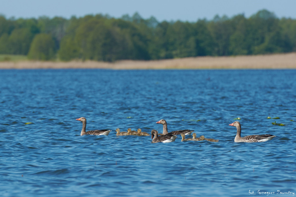 Pamiątka ze spływów