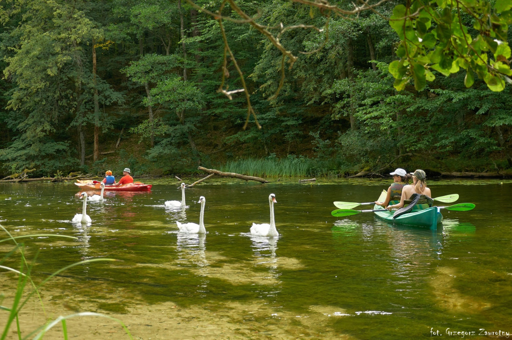 Pamiątka ze spływów