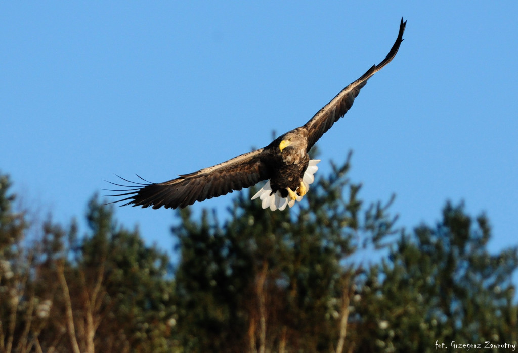 Pamiątka ze spływów