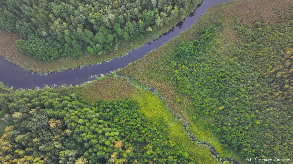 Pamiątka ze spływów