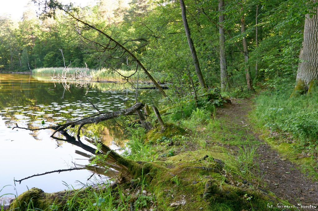 Pamiątka ze spływów