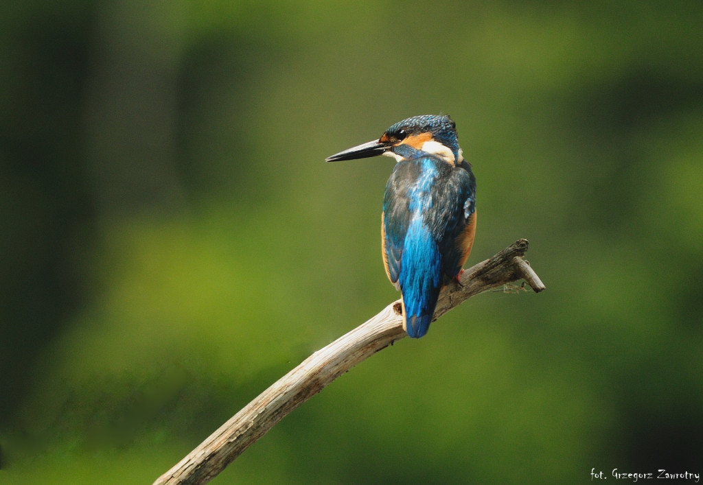 Pamiątka ze spływów