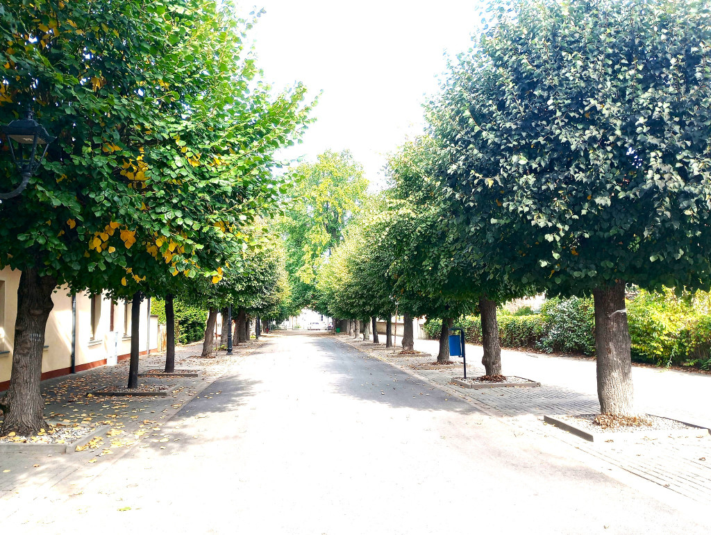Nieszawa: Atrakcje turystyczne pod Ciechocinkiem