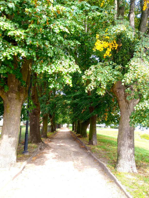 Nieszawa: Atrakcje turystyczne pod Ciechocinkiem
