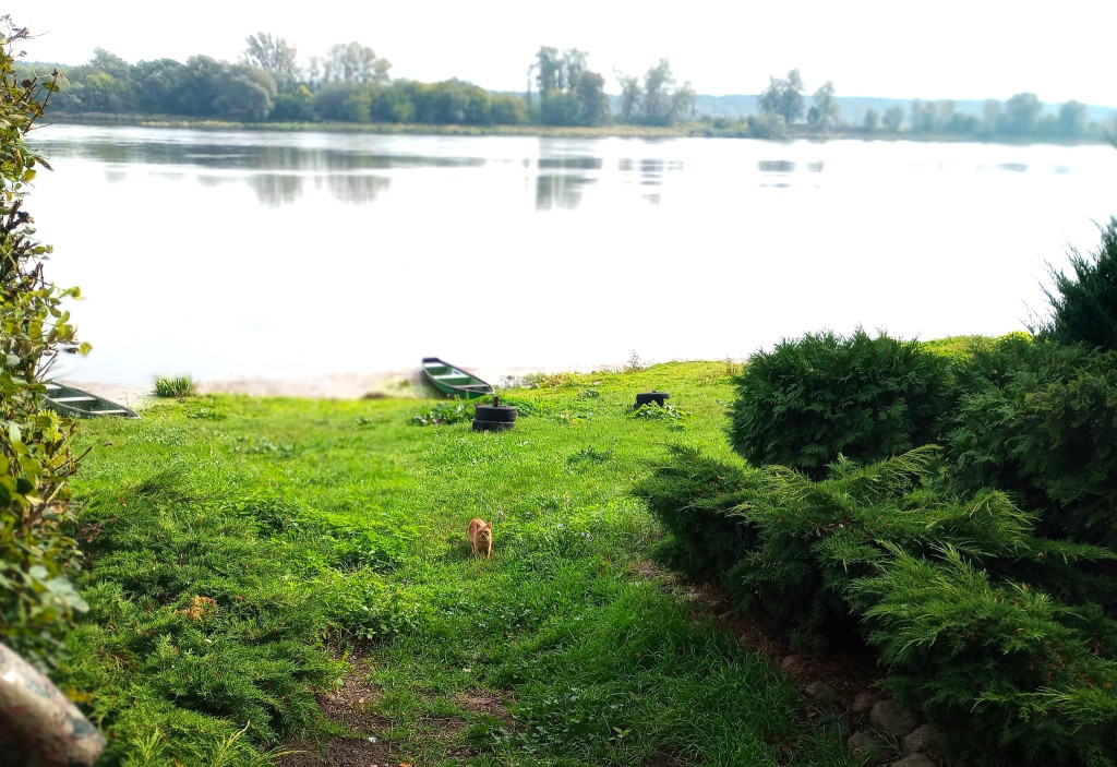 Nieszawa: Atrakcje turystyczne pod Ciechocinkiem