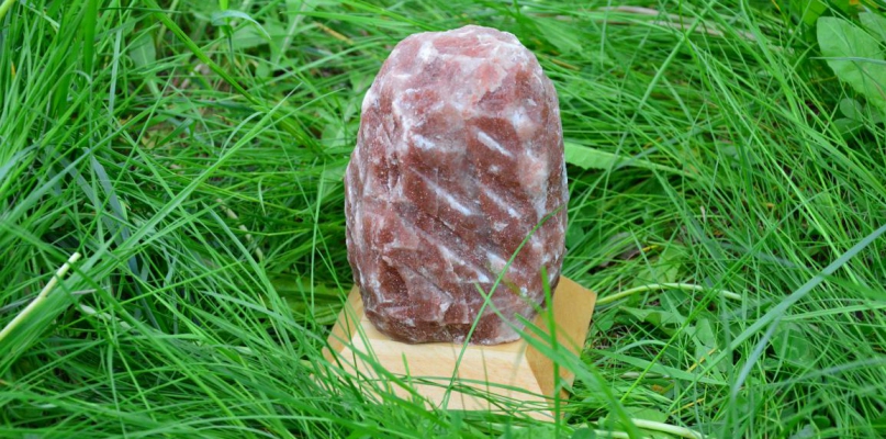 Wyniki  biegu o kryształ soli. Fot. B. Bigosiński