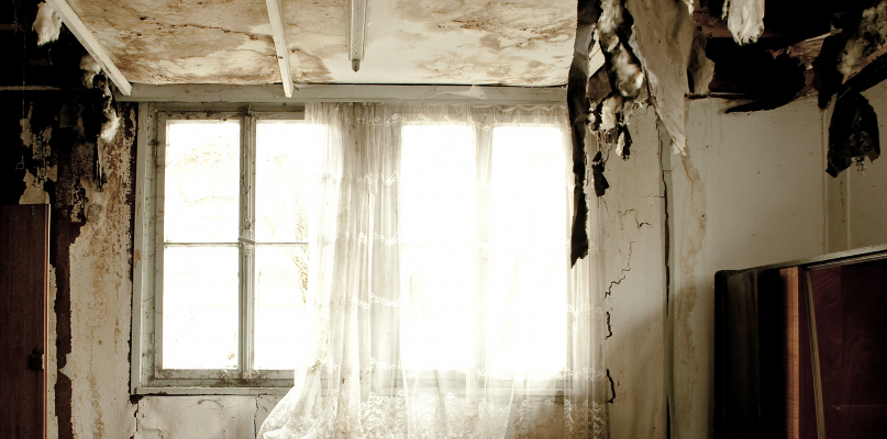Fot. depositphotos