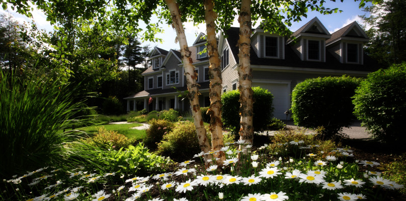 Klimatyczny ogród zdecydowanie pomogą nam  stworzyć nastrojowe rośliny.