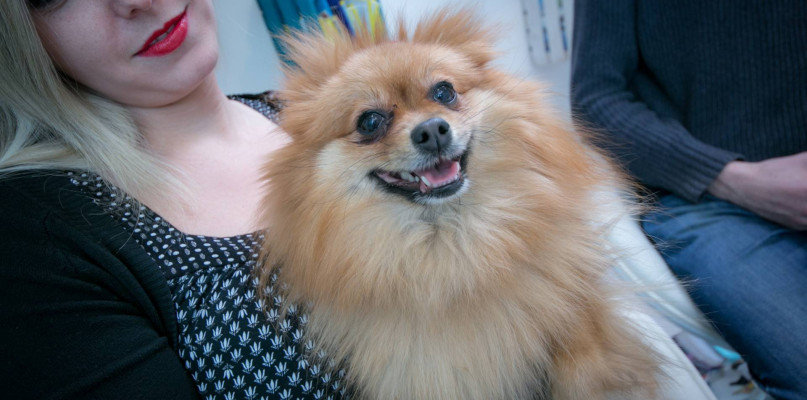 Polska szkoła języków obcych