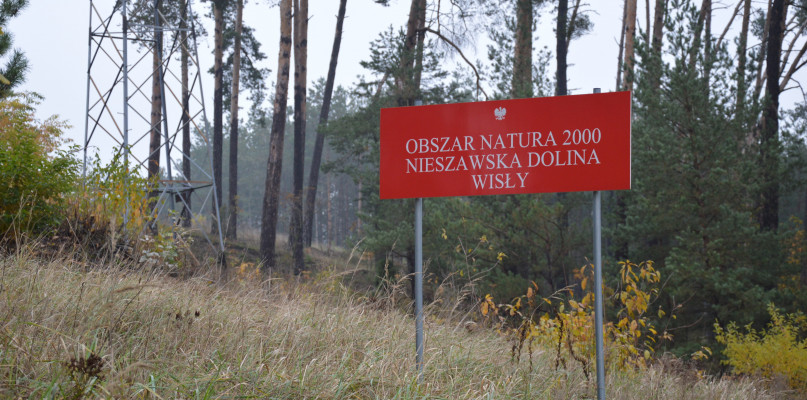 fot. B.igosiński