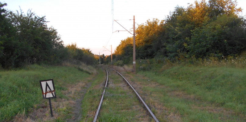 Nieczynna linia kolejowa między Ciechocinkiem a Aleksandrowem Kujawskim. Fot. Daniel Wiśniewski