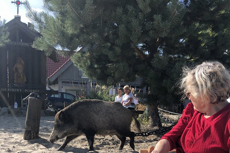 Nowa atrakcja sopockich plaż.