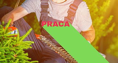 Zielona kariera tuż pod Ciechocinkiem!-12431