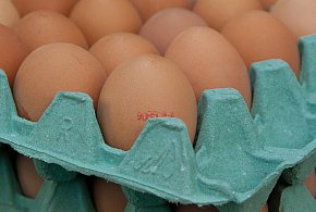 Salmonella na jajach znanej marki. Nie jedz, jeśli masz je w lodówce!-12660