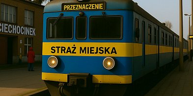 Pociąg, hulajnoga a może batmobil - czym będzie jeździć Straż Miejska? -12691