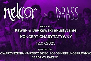 Muzyczne granie dla dobroczynności w Aleksandrowie Kujawskim-12794
