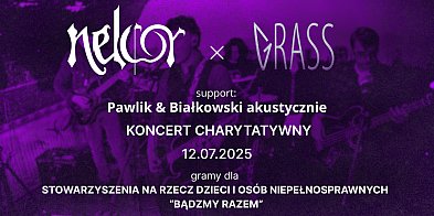 Muzyczne granie dla dobroczynności w Aleksandrowie-12794