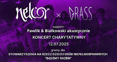 Muzyczne granie dla dobroczynności w Aleksandrowie Kujawskim-12794