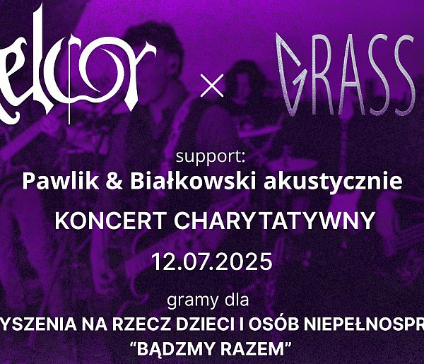 Muzyczne granie dla dobroczynności w Aleksandrowie Kujawskim-12794