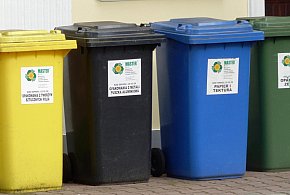 Koniec z darmowymi workami na śmieci. Tak zmieniają się zasady w gminach-12798