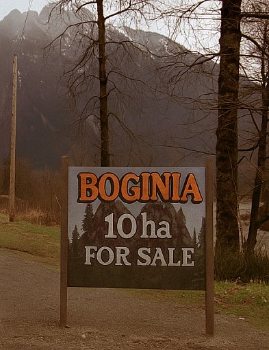 BOGINIA z niespodziewanym scenariuszem-12848