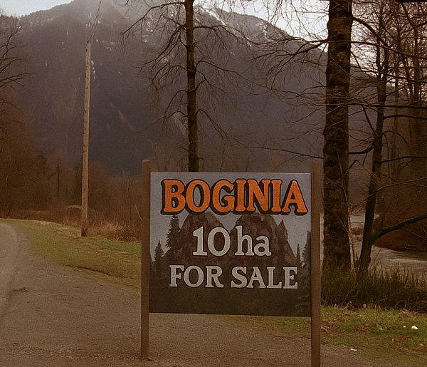 BOGINIA z niespodziewanym scenariuszem-12848