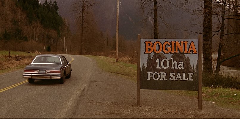 BOGINIA z niespodziewanym scenariuszem - 12848