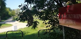 Ciechocinek: Medialne szambo w uzdrowisku