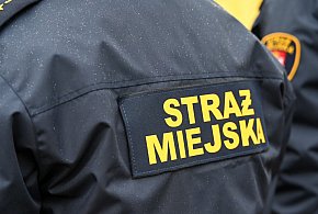 Zapuka strażnik, zapłacisz karę. Ruszyły kontrole w całej Polsce-13643
