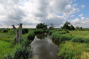 Co dalej z nowym parkiem narodowym? Minister klimatu zdradza plan po wecie-13844
