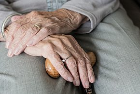 Te osoby dostaną dwie emerytury w grudniu. ZUS przesuwa przelewy-13964