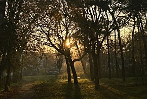 Nadchodzi najkrótszy dzień w 2025 roku. Sprawdź, kiedy przypadnie-14162