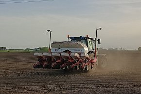 „Podpisz, że lubisz obornik”. Nowe prawo zmieni życie też pod Ciechocinkiem