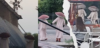 Ciechocinek: Tajemnicze grzyby na Szachownicy - zbiorowa halucynacja?-13701