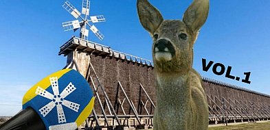 Zobacz 10 absurdalnych pomysłów na Bajkowy Ciechocinek, które ...