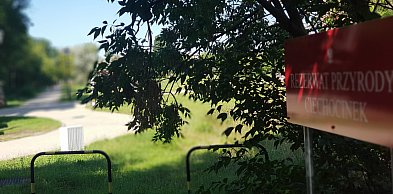 Ciechocinek: Medialne szambo w uzdrowisku. Kto ogarnie tę stajnię Augiasza?