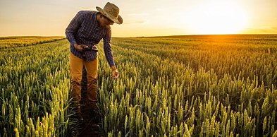 Jak zwiększyć swoje zarobki? Zainwestuj w konkretne kwalifikacje z Ramus