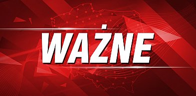Ta świąteczna ozdoba powoli zabija nasze drzewa. Czeka nas katastrofa?